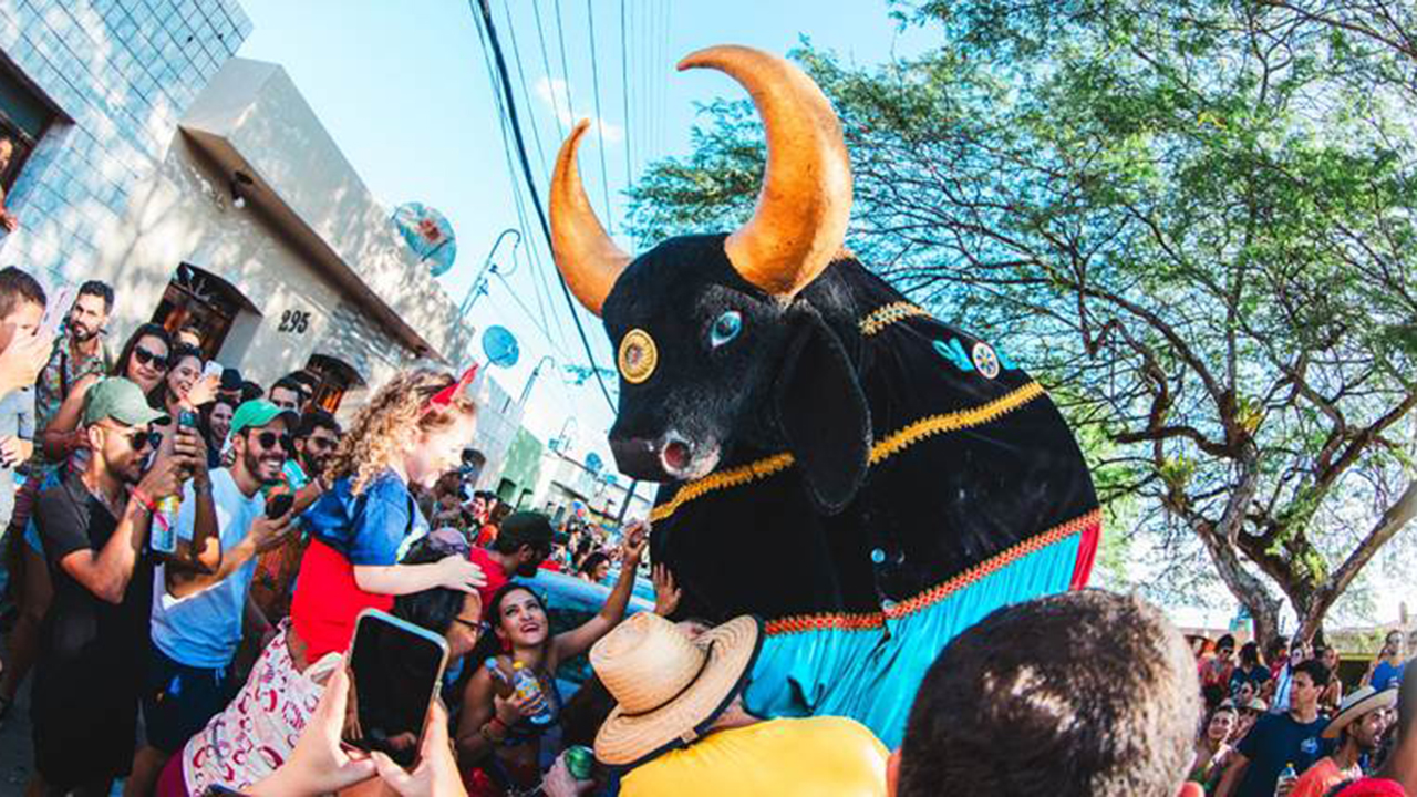 Boi da Macuca leva o carnaval de rua de Pernambuco ao Sudeste