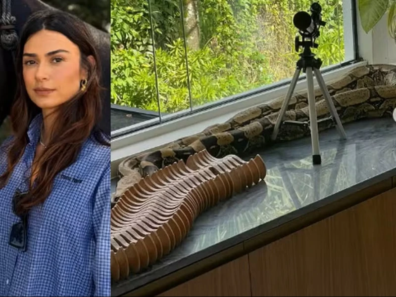 Thaila Ayala encontra cobra em móvel de sua casa