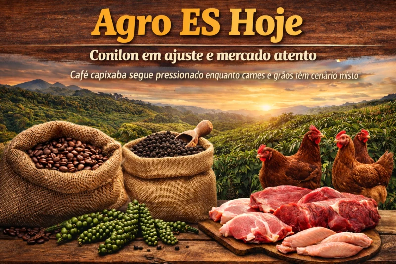 Agro ES Hoje: conilon em ajuste e mercado atento