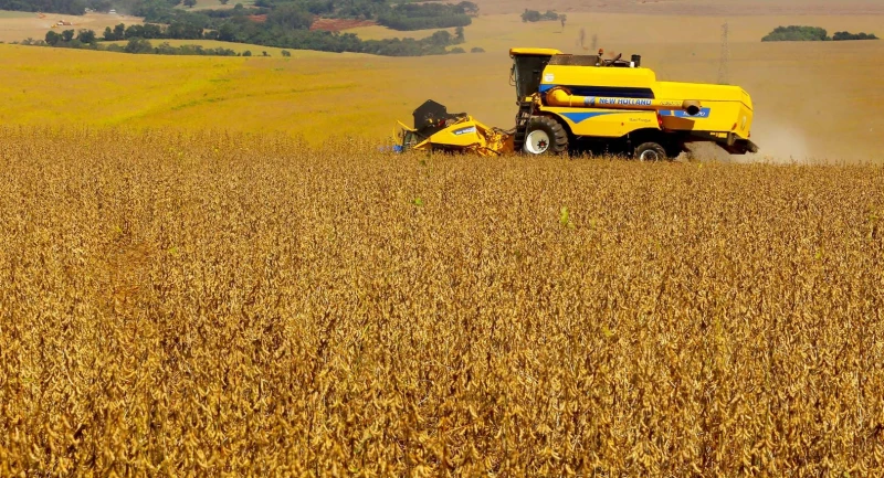 Conab: 5ª previsão para safra 2025/26 indica recorde de 353,4 milhões de toneladas
