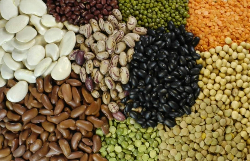 Exportações de pulses crescem 30% em 2025