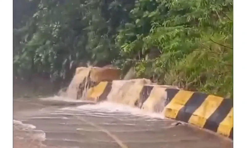Chuvas deixam 384 desabrigados em Peruíbe