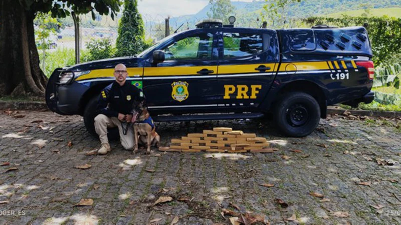 Ônibus interestadual é flagrado com 21 kg de maconha