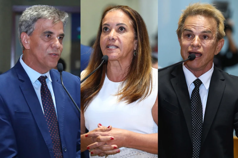 Projetos permitem sepultar pets com tutores