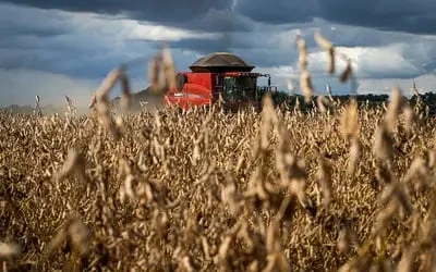 Clima pode afetar segunda safra no país