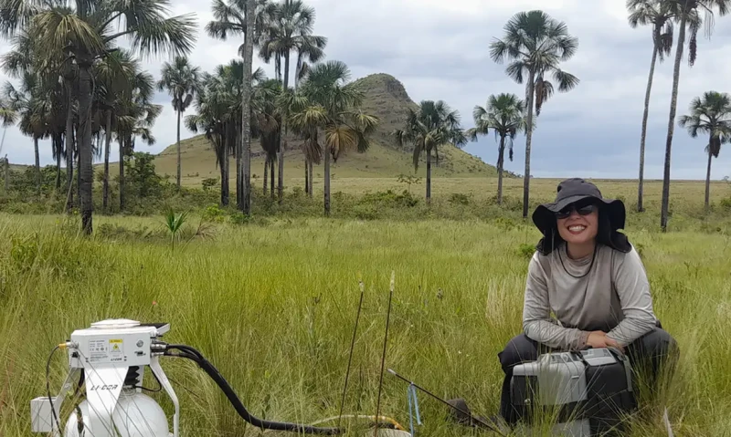 Cerrado pode armazenar mais carbono