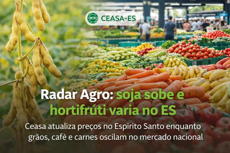 Radar Agro: soja sobe e hortifrúti varia no ES