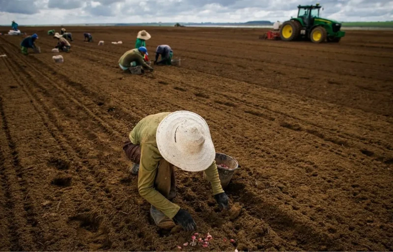 Seguro rural pode mudar regras nesta semana