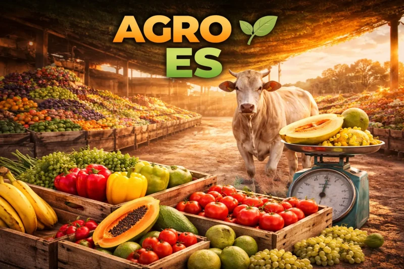Agro ES: hortifruti mantém estabilidade