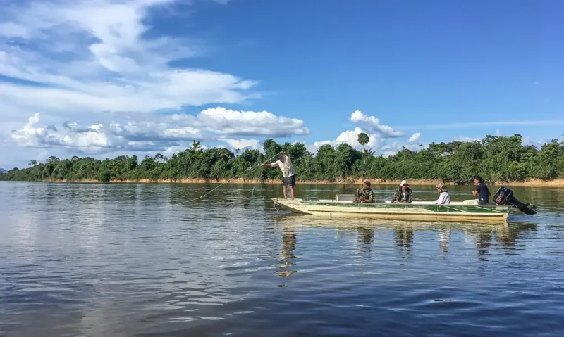Peixes migratórios colapsam nos rios