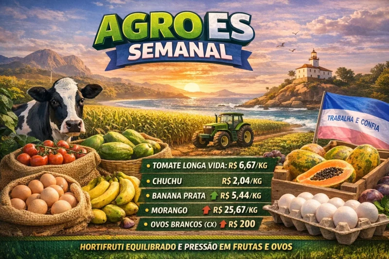 Agro ES: hortifruti fecha semana com equilíbrio