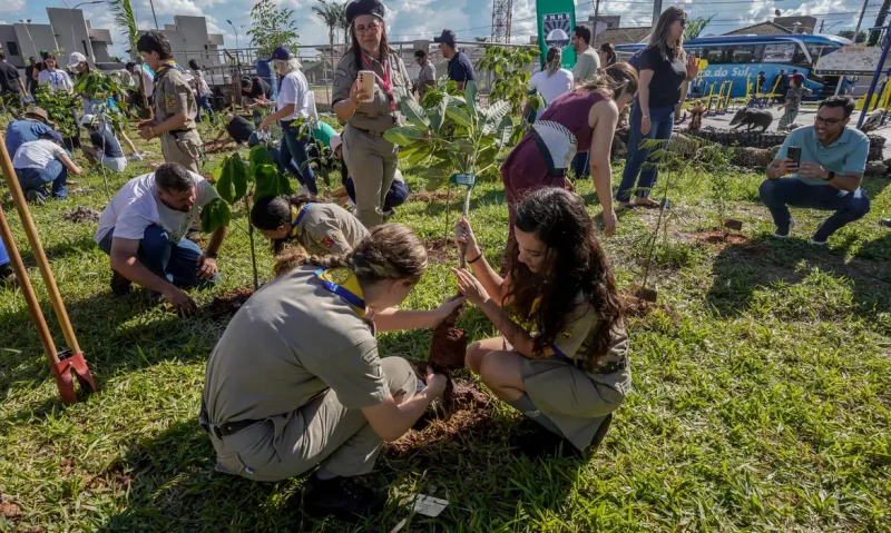 COP15 amplia proteção a espécies migratórias