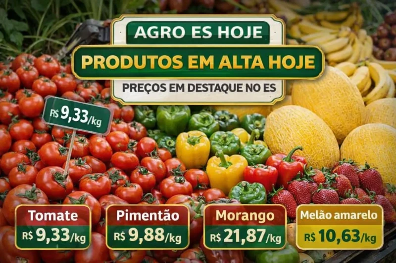 Agro ES Hoje: preços estáveis com variações pontuais