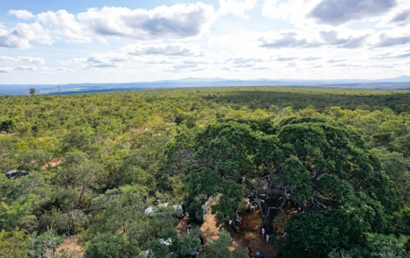 Operação desmonta garimpo ilegal e expõe danos no Cerrado
