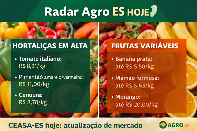 Hortaliças sobem e frutas variam na CEASA-ES