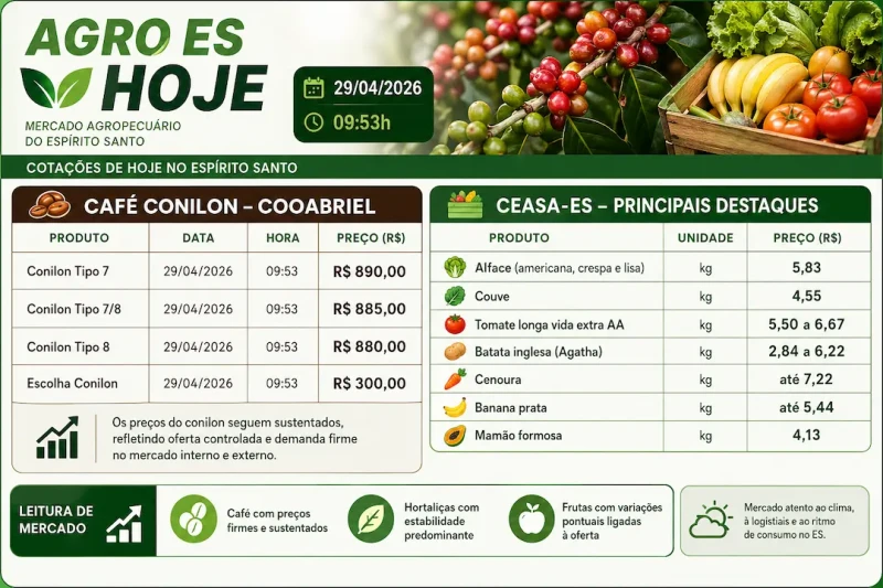 Café conilon sobe e hortifruti varia no ES