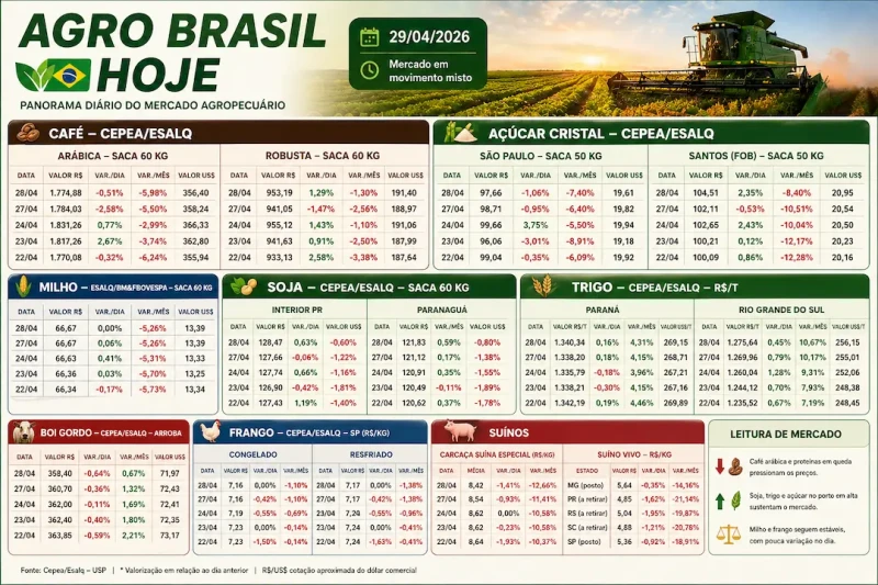 Agro hoje: café arábica desce e soja sobe no Brasil