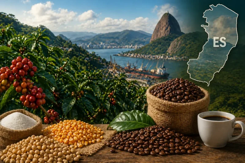 Conilon recua no Espírito Santo, enquanto tomate e alface sobem na Ceasa