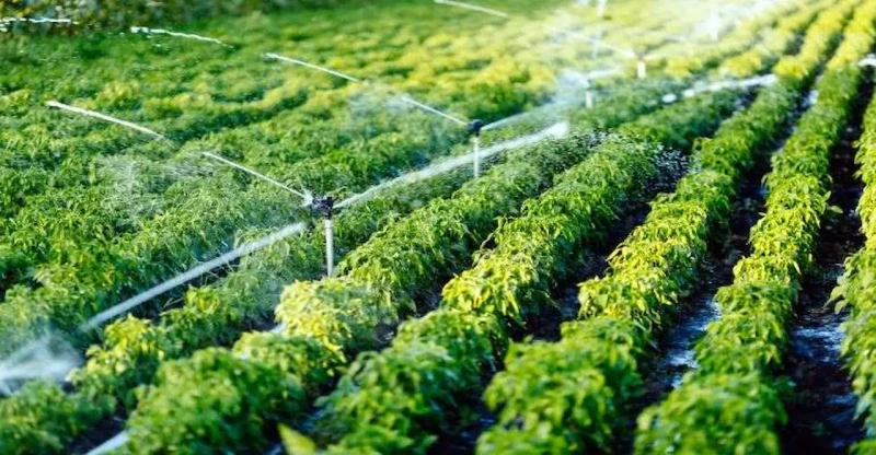 Agrishow aquece e impulsiona setor de irrigação