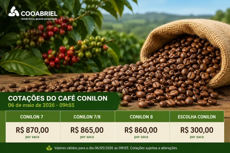 Conilon mantém estabilidade nesta quarta