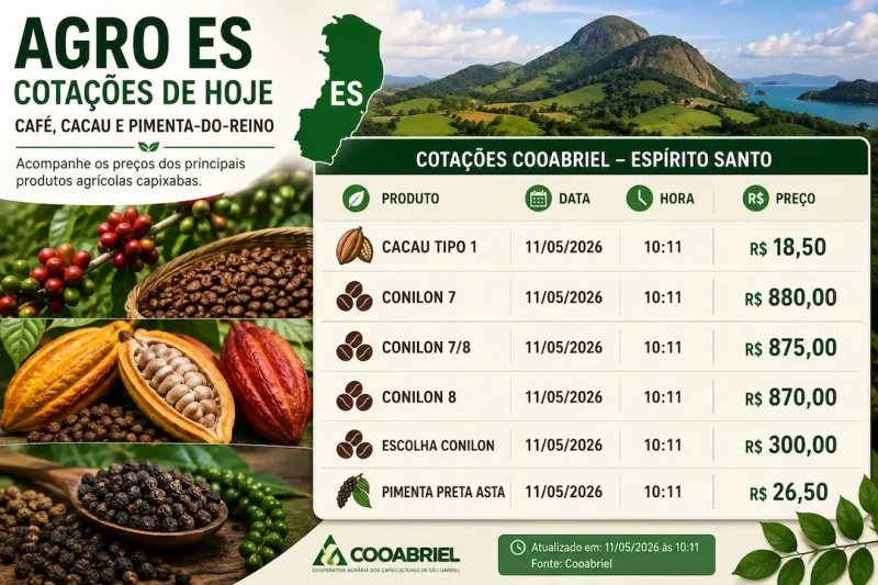 Conilon sobe e cacau dispara no ES