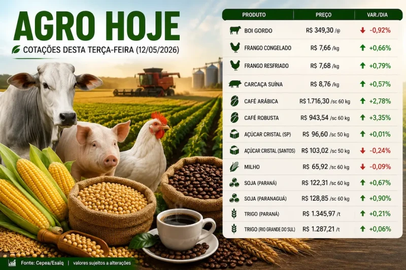 Agro hoje: café sobe e boi gordo cai no mercado