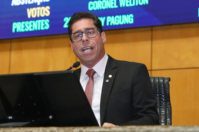 Ales aprova doação de área para novo abatedouro em Santa Maria