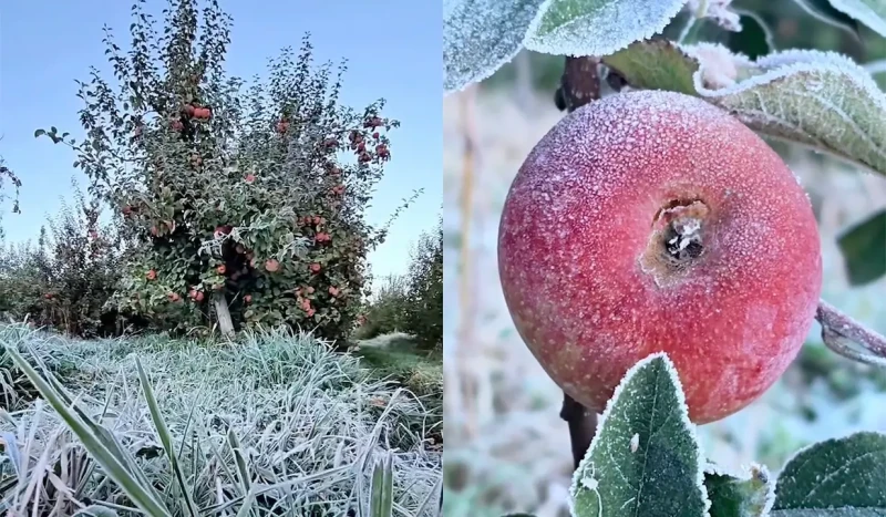 Cidade de SC registra frio extremo e bate recorde do ano