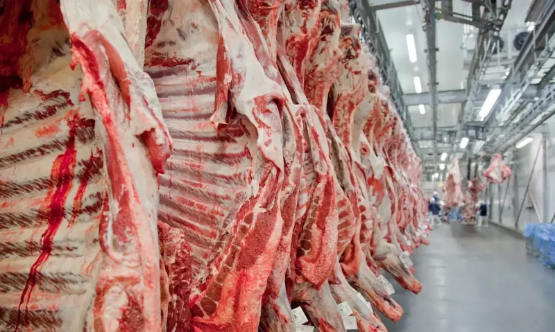 Restrição da União Europeia pode causar perda de US$ 16,8 milhões por mês a Goiás