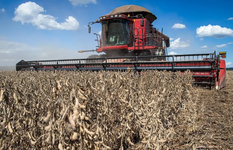 Exportações do agronegócio chegam a US$ 16,34 bilhões e alcançam 1.476 municípios em julho