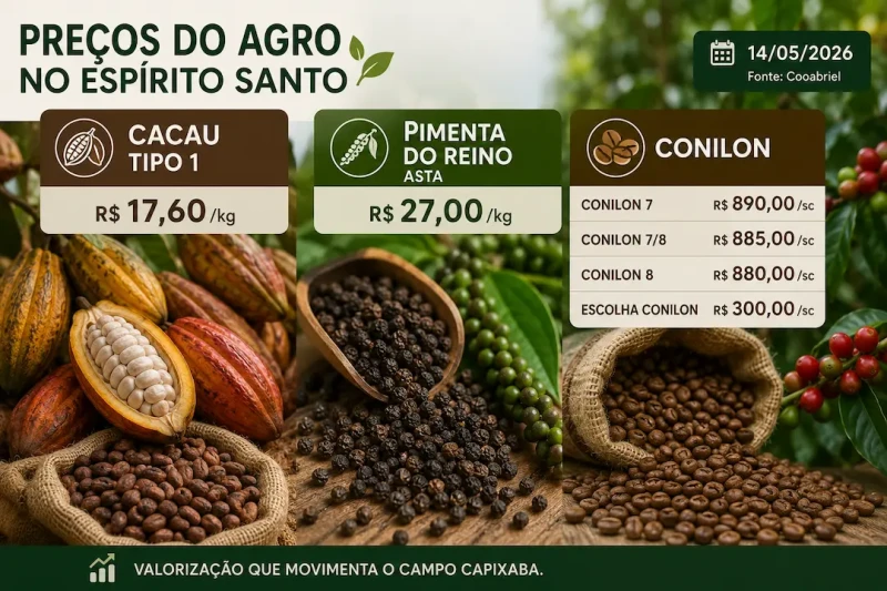 Agro ES: conilon sobe para R$ 890 e cacau dispara no ES