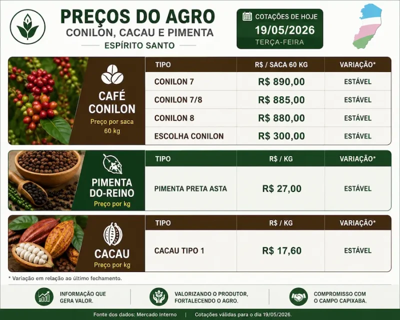 Conilon e pimenta seguem valorizados no ES, aponta Cooabriel