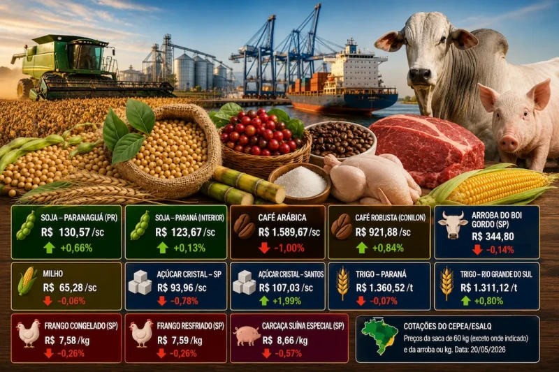 Soja sobe forte em Paranaguá e café amplia perdas no agro