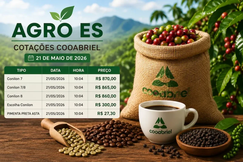 Conilon e pimenta mantêm estabilidade no ES