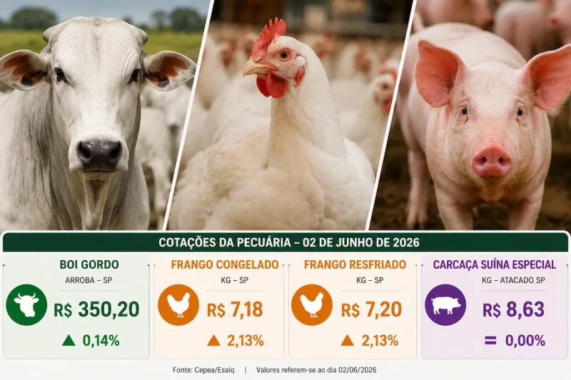 Arroba do boi gordo avança e frango dispara mais de 2%