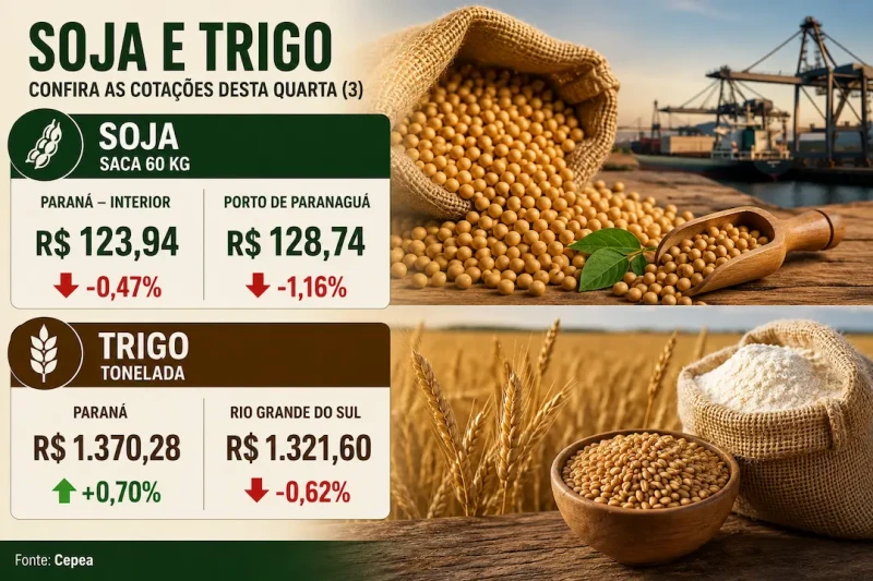 Soja recua e trigo avança no Paraná