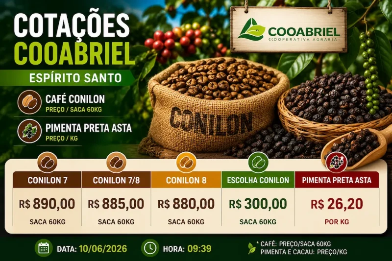 Pimenta preta avança e conilon mantém preços no Espírito Santo