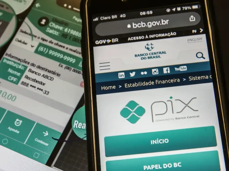 Professora que diz ter criado o Pix processa Banco Central