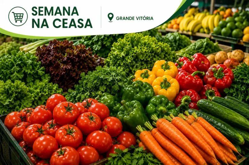 Preço de hortaliças cai até 33% na Ceasa-ES; legumes e frutas têm altas