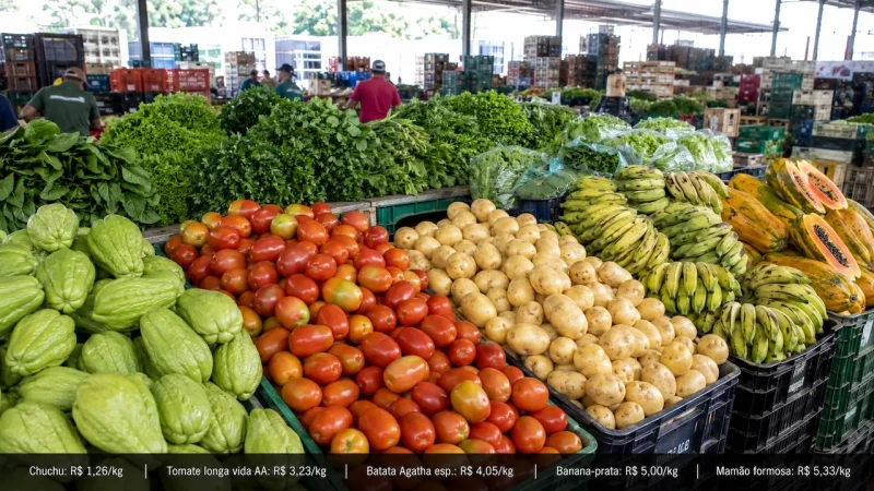 Tomate, chuchu e laranja estão entre os destaques de preços na Ceasa-ES