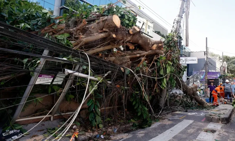 Ventania em Rio, São Paulo e Rio Grande do Sul expõe fragilidade das cidades diante de extremos climáticos