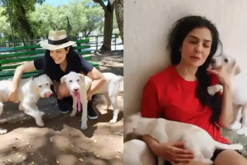Letícia Sabatella desabafa após veterinária confessar crime: 'É reconfortante'