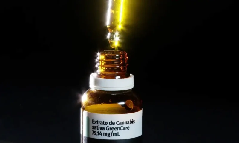 Importação de cannabis medicinal cresce 29% no Brasil em 2026
