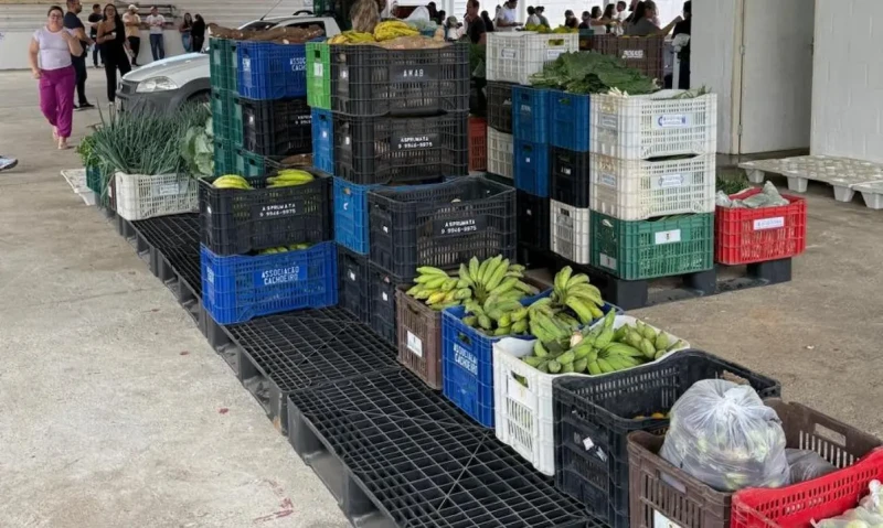 Aracruz amplia Compra Direta de Alimentos e prevê 230 Cestas Verdes por mês