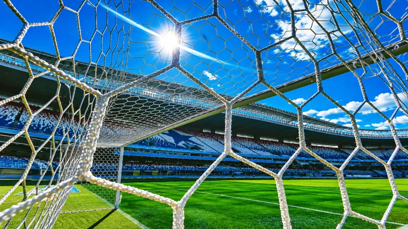 Botafogo busca reação no Brasileirão em partida em Belém