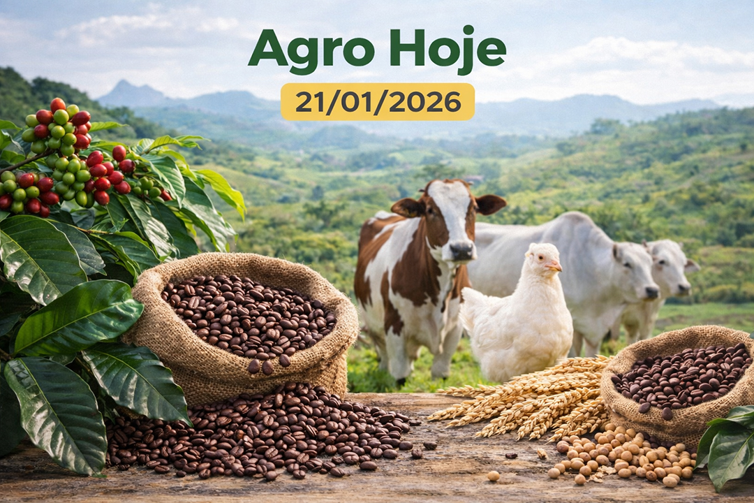 Agro Hoje: VBP do setor supera R$ 1,39 tri em 2026